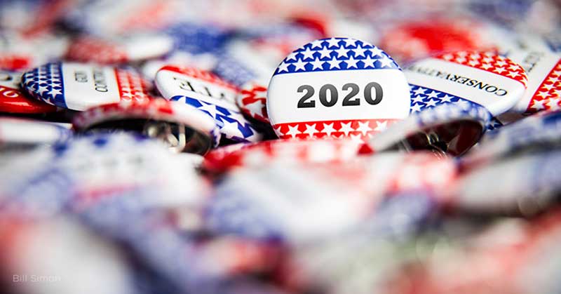 2020 Vote Buttons