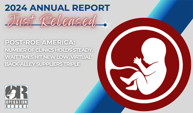 2024 Annual Report of Post Roe America
