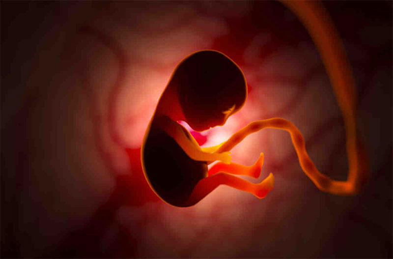 Alabama Embryo Ruling Trickles Up to Congress