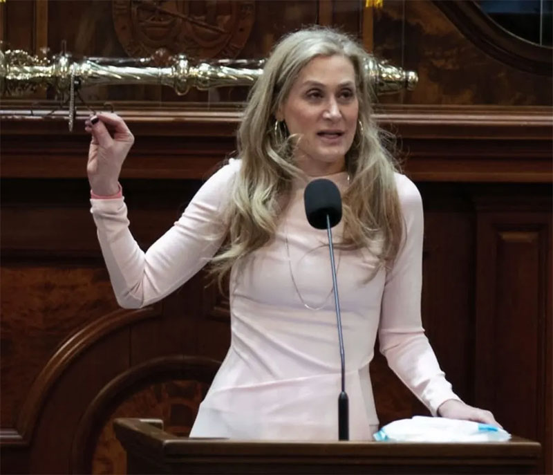 Bill Sponsor Rep Beth Bernstein Democrat Columbia