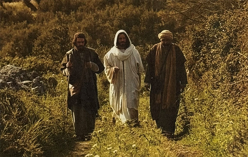 Christmas 2nd image Labmmb