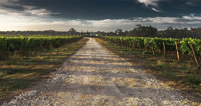Conservation Easement Ruined the Owner of a 4th Generation Farm