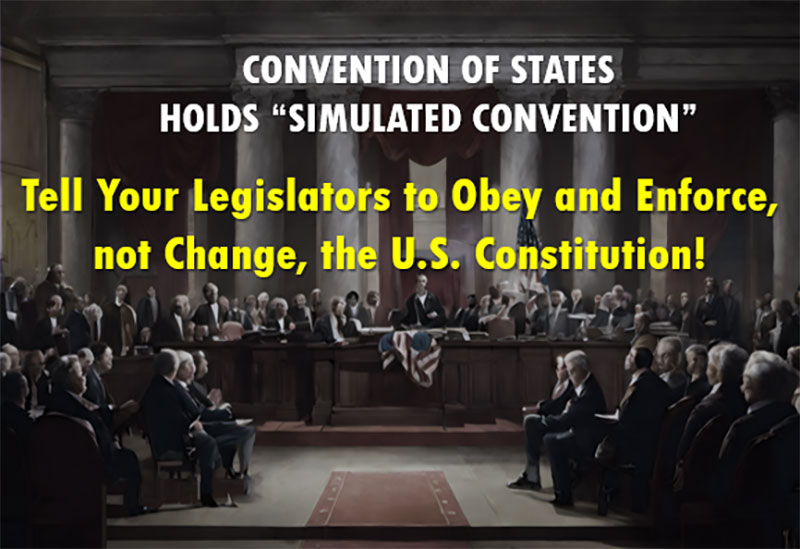 Convention of States Holding Simulated Convention