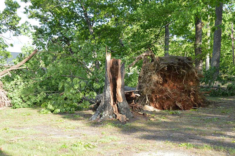 Tornadoes Hit Greenville, SC