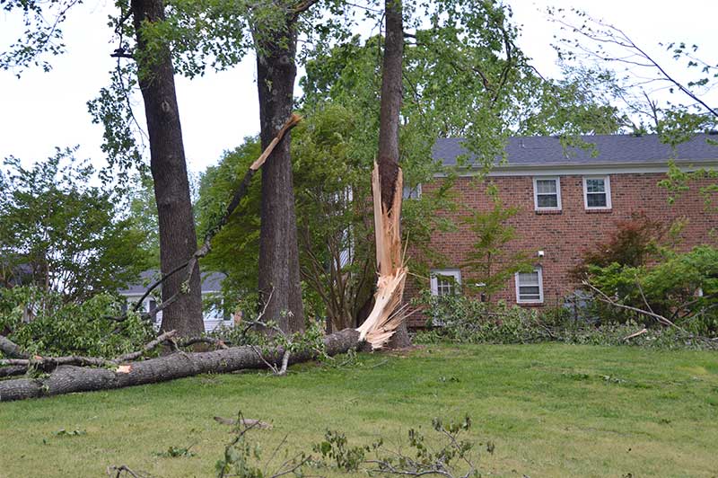 Tornadoes Hit Greenville, SC