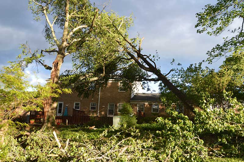 Tornadoes Hit Greenville, SC
