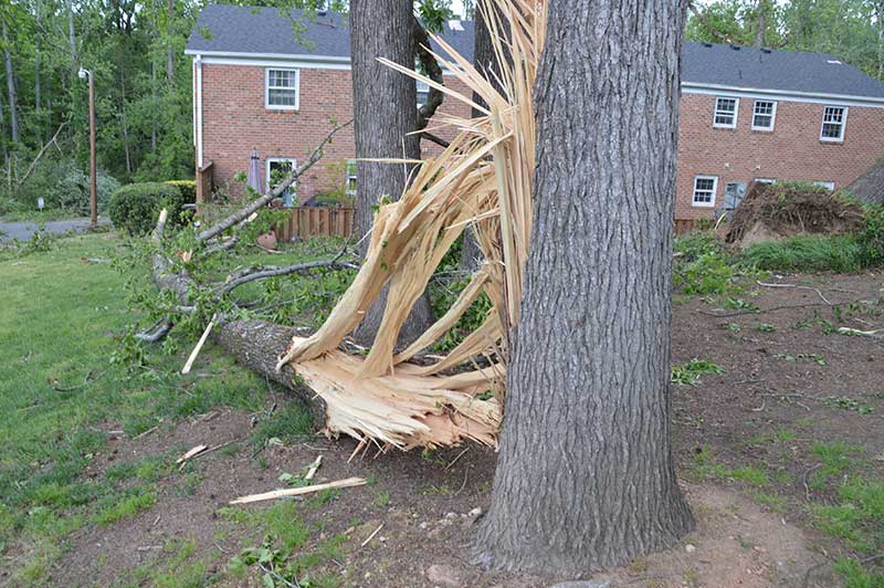 Tornadoes Hit Greenville, SC