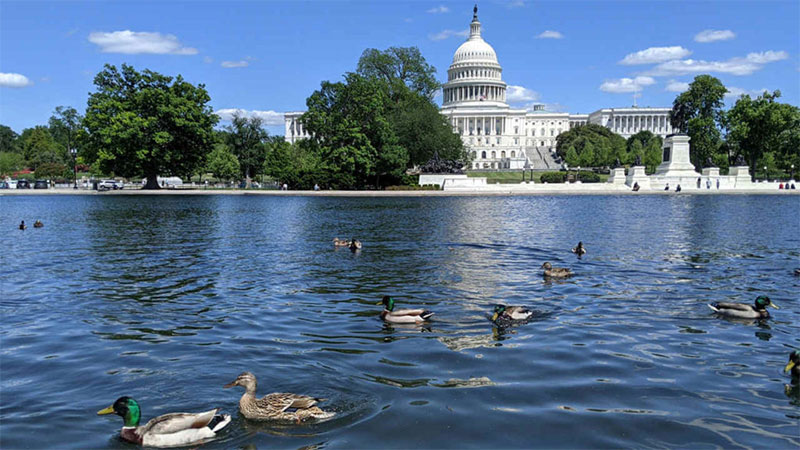 Democrats Plan to Use the Lame Duck Session to Pass Their Agenda
