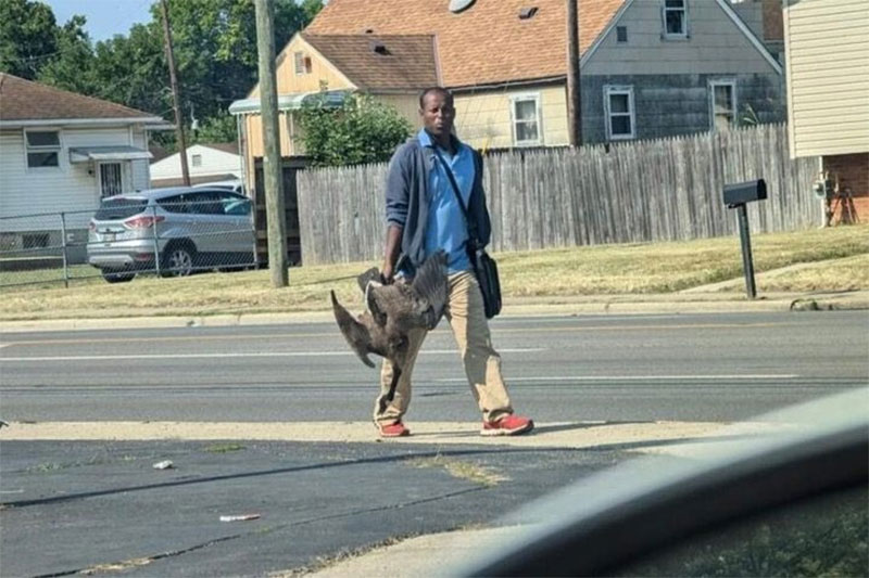Haitian Biden Migrants in Ohio Eat Park Ducks Crash Cars Squat on Lawns Terrify Homeowners