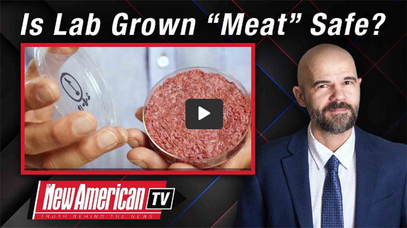 Is Lab Grown Meat Safe