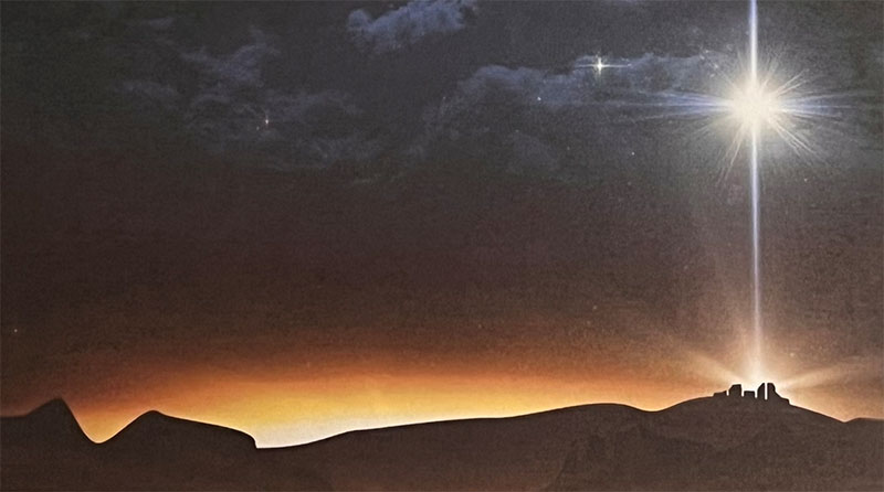 Lamb Bethlehem Star 2023