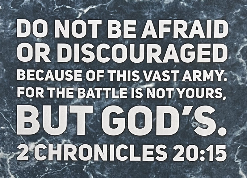 Lamb Some Thoughts for New Year