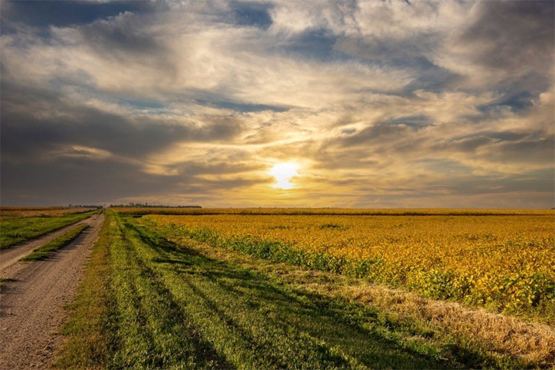 South Dakota Farmers Face Carbon capture Land Theft