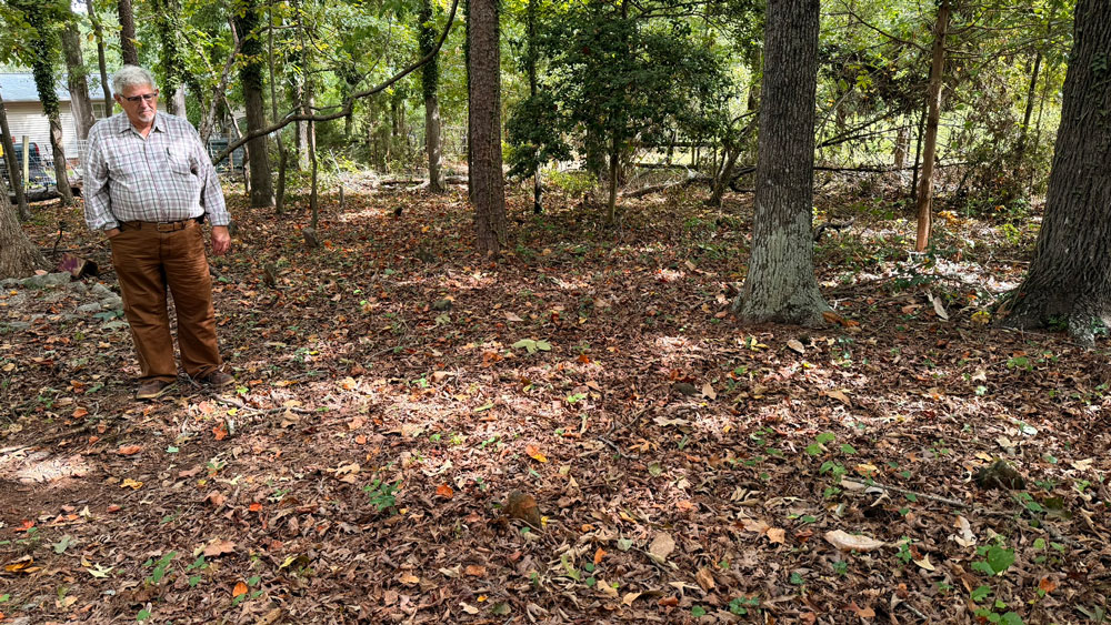 Springfield Cemetery littered with unmarked stones