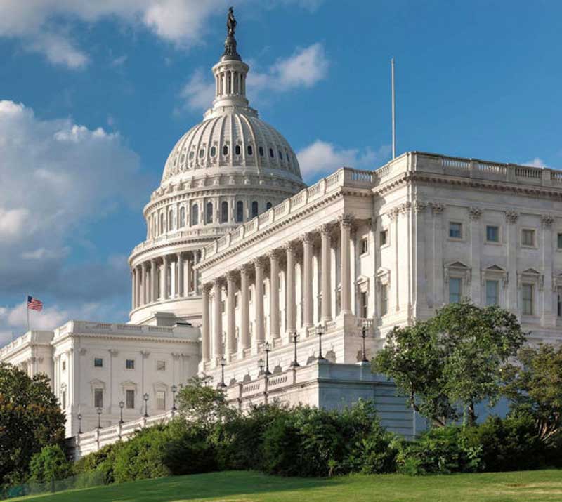 US Capitol Eagle Forum