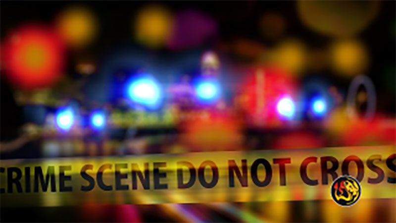 US University Riots Over Gaza War