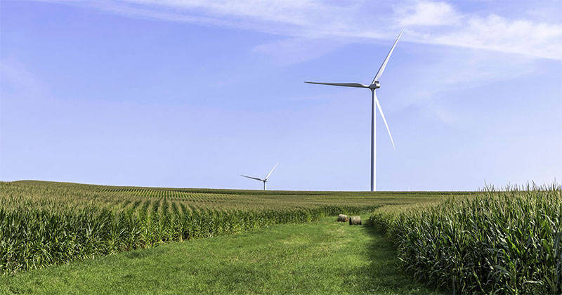 Windmills green energy