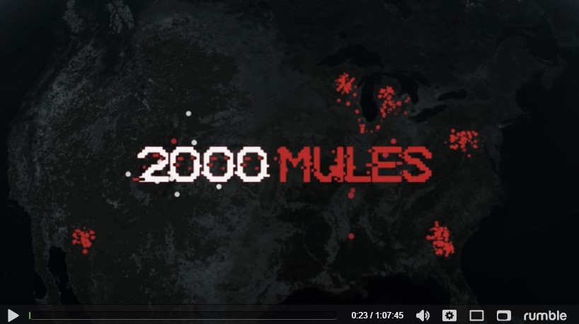 2000 Mules 2022
