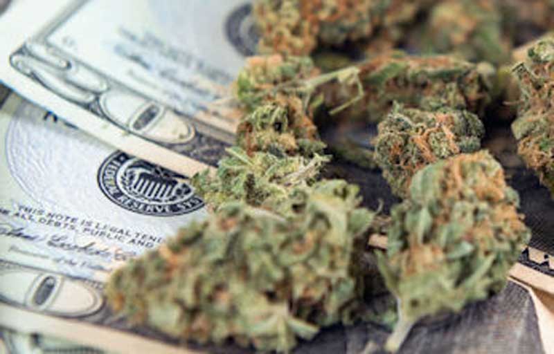 Money Marijuanna
