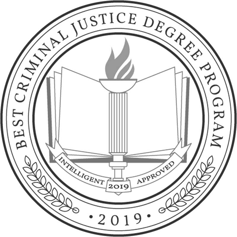 NGU criminal justice