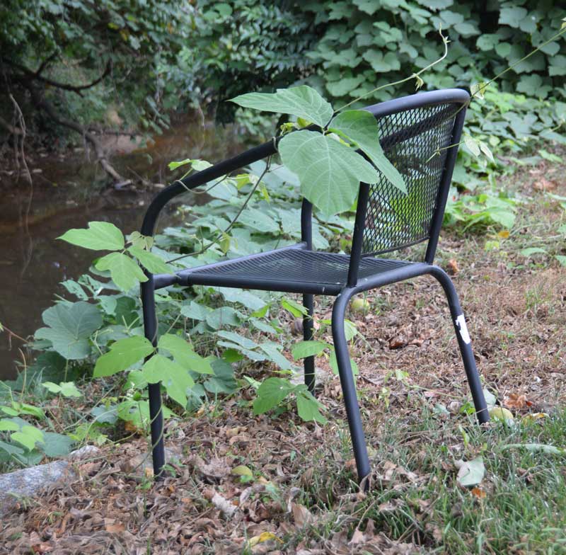 Nature Reclaims 0362