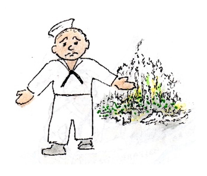 SALTY SEZ Behold the Swamp