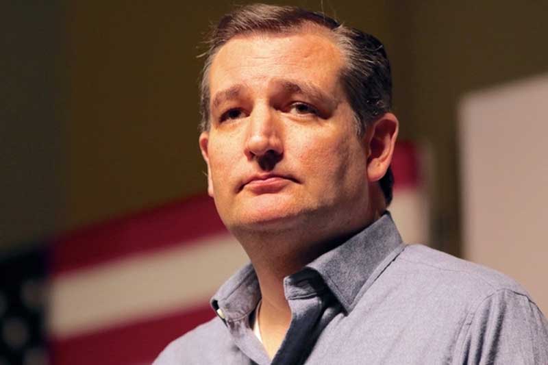 Sen. Ted Cruz State Convention Action