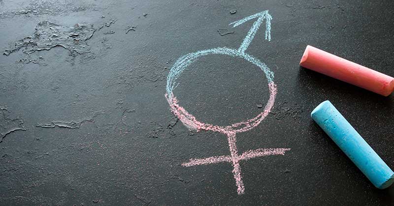 Teacher Fired over Trans Pronouns Sues School