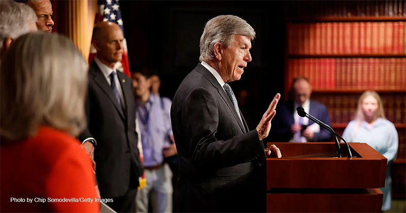 These Senators Defended Marriage in 2015