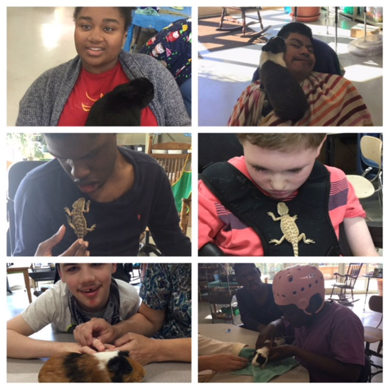 Washington Center Collage