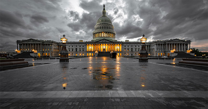 What We Can Learn From a Red Tide