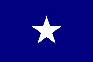 The Bonnie Blue Flag - traditional secession banner.