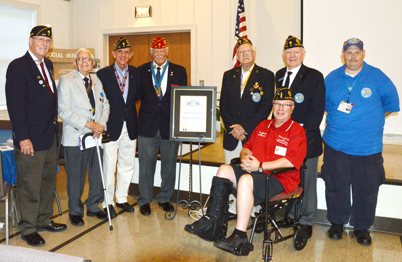 Order of the Palmetto The Times Examiner